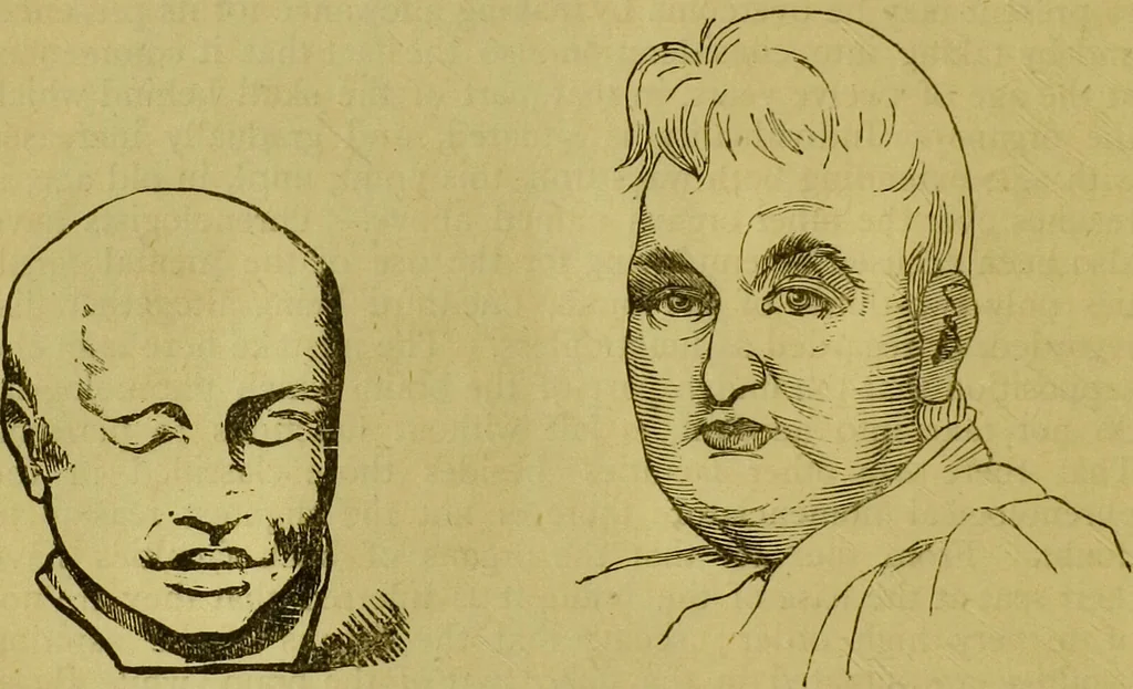 An illustration from Orthodox phrenology / by A.L. Vago., 1871, leaf 24