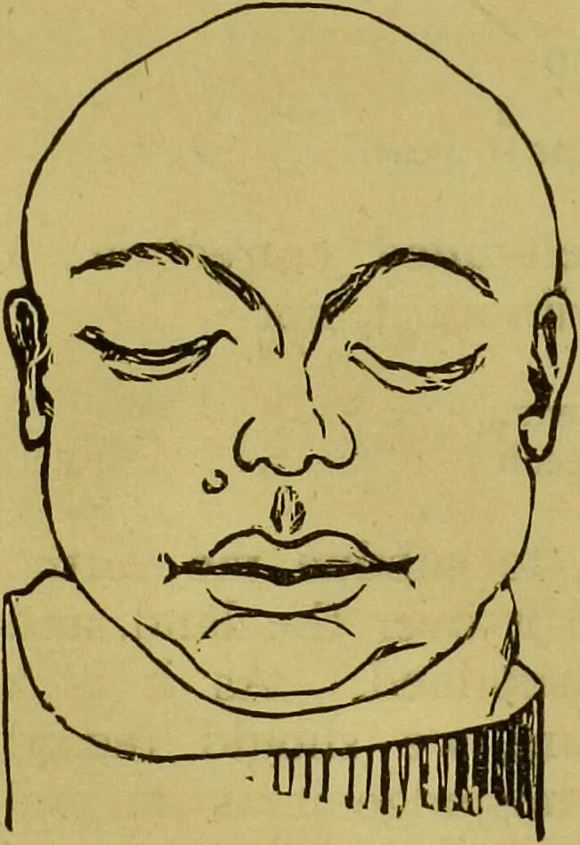 An illustration from Orthodox phrenology / by A.L. Vago., 1871, leaf 32