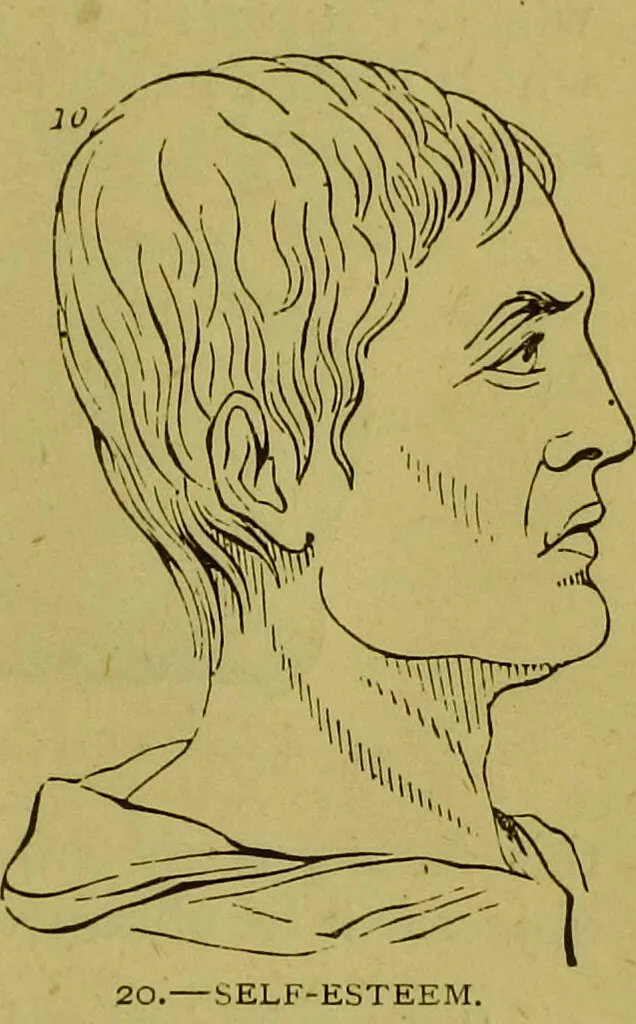 An illustration from Orthodox phrenology / by A.L. Vago., 1871, leaf 35