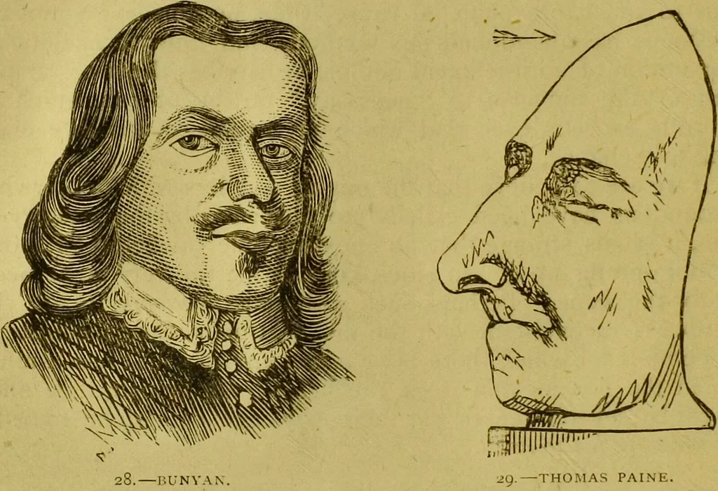 An illustration from Orthodox phrenology / by A.L. Vago., 1871, leaf 48