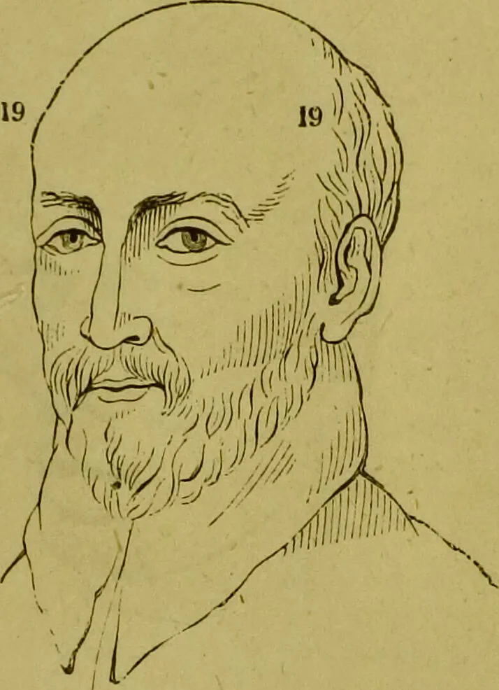 An illustration from Orthodox phrenology / by A.L. Vago., 1871, leaf 49