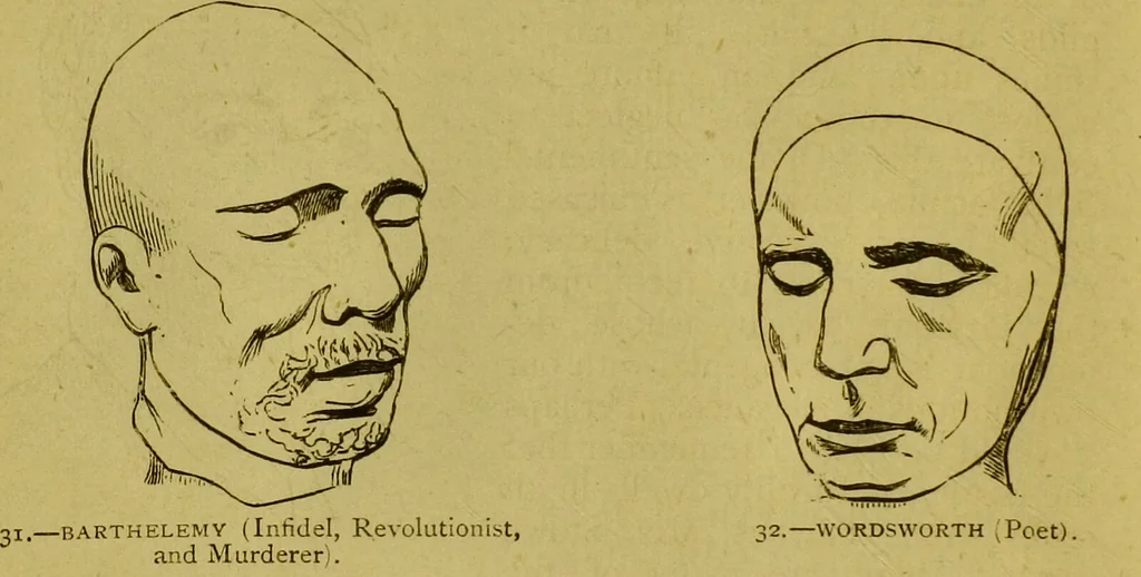 An illustration from Orthodox phrenology / by A.L. Vago., 1871, leaf 50