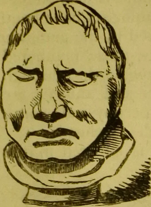 An illustration from Orthodox phrenology / by A.L. Vago., 1871, leaf 53