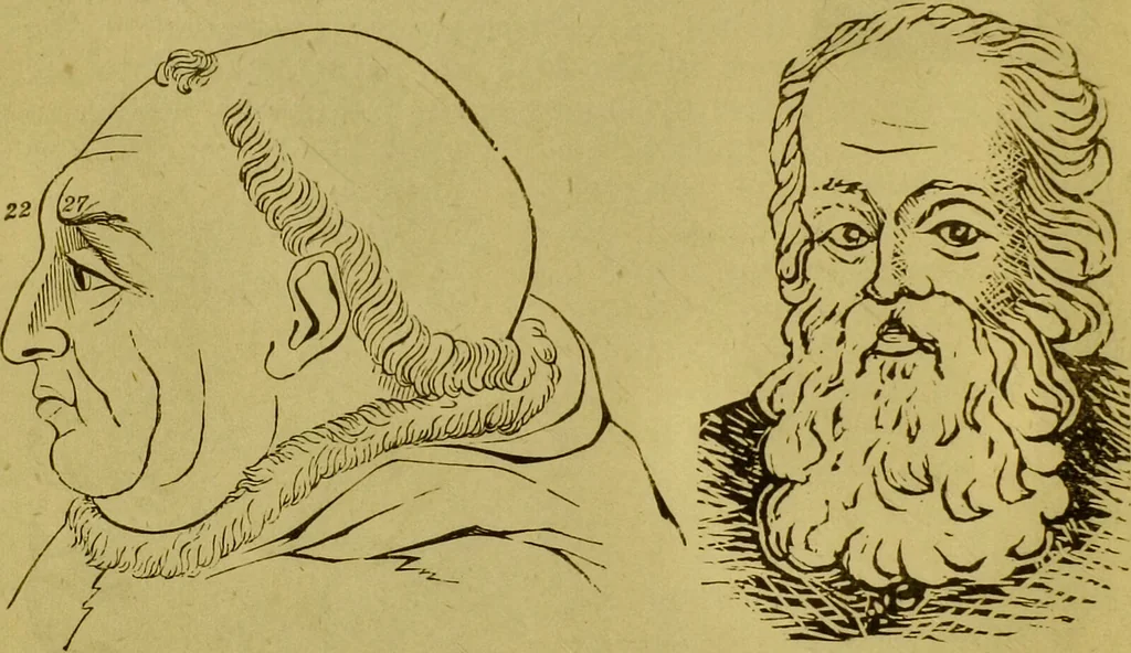 An illustration from Orthodox phrenology / by A.L. Vago., 1871, leaf 54