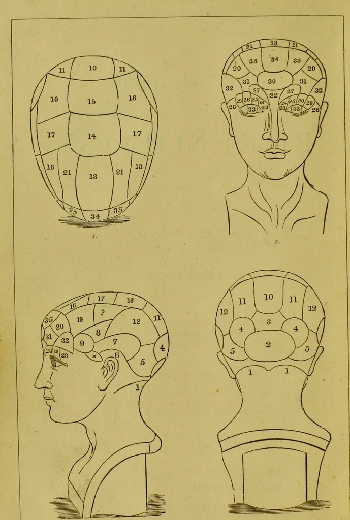 An illustration from Orthodox phrenology / by A.L. Vago., 1871, leaf 6