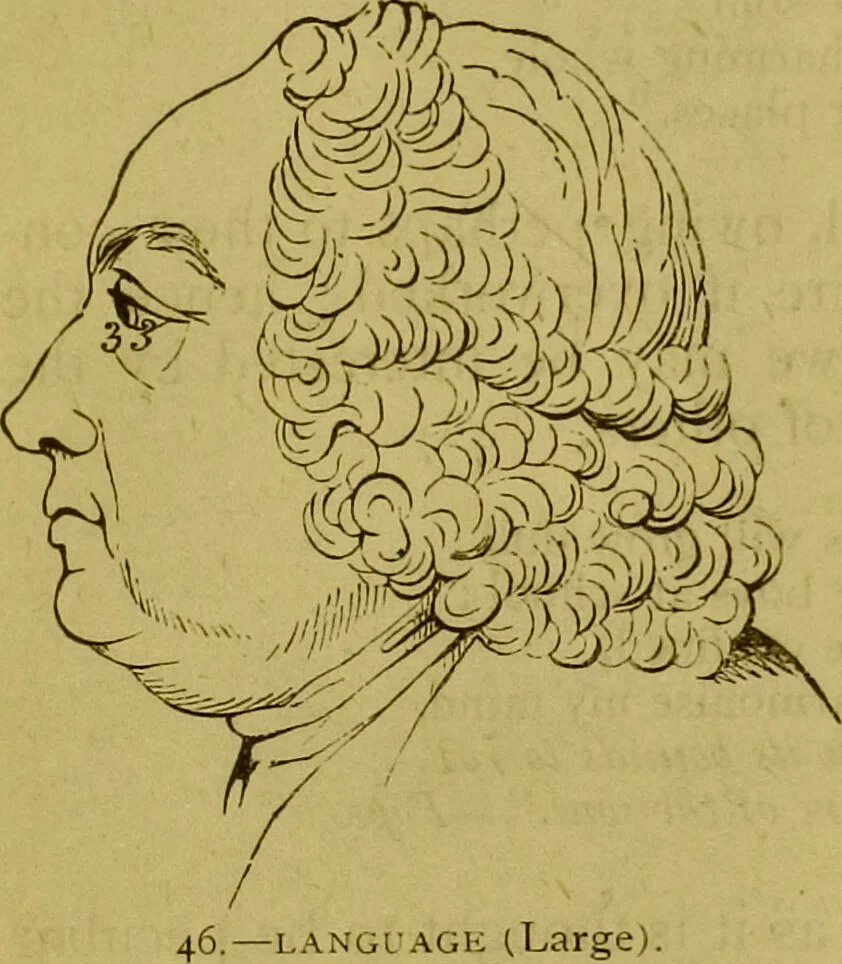 An illustration from Orthodox phrenology / by A.L. Vago., 1871, leaf 64
