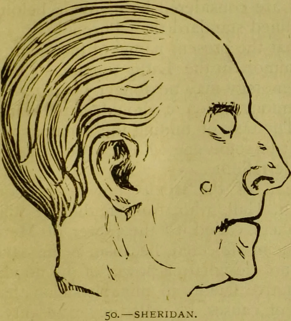 An illustration from Orthodox phrenology / by A.L. Vago., 1871, leaf 79