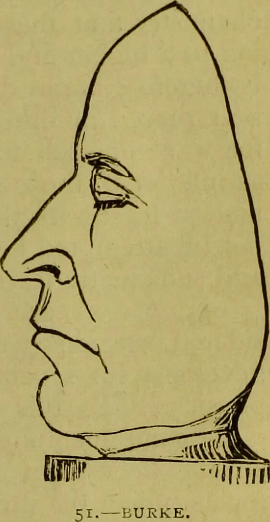 An illustration from Orthodox phrenology / by A.L. Vago., 1871, leaf 79