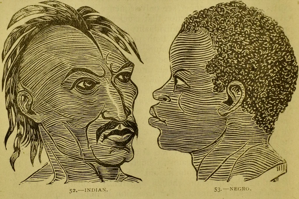 An illustration from Orthodox phrenology / by A.L. Vago., 1871, leaf 82