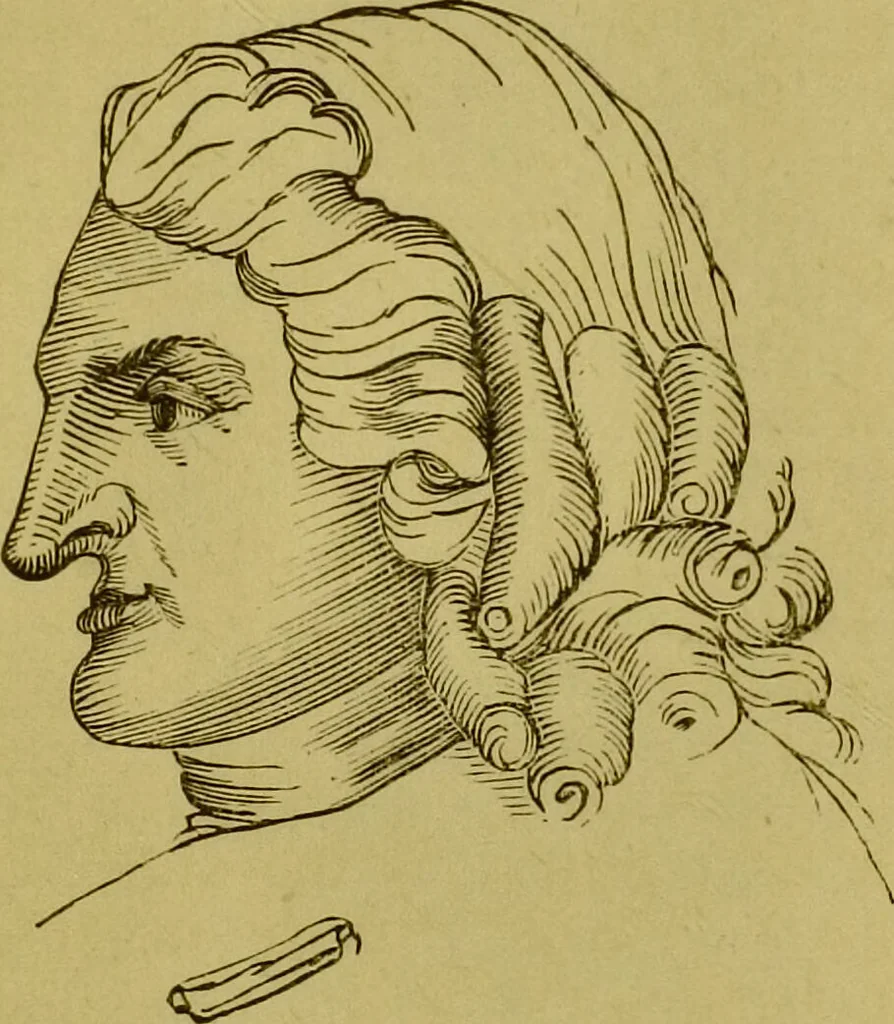 An illustration from Orthodox phrenology / by A.L. Vago., 1871, leaf 84