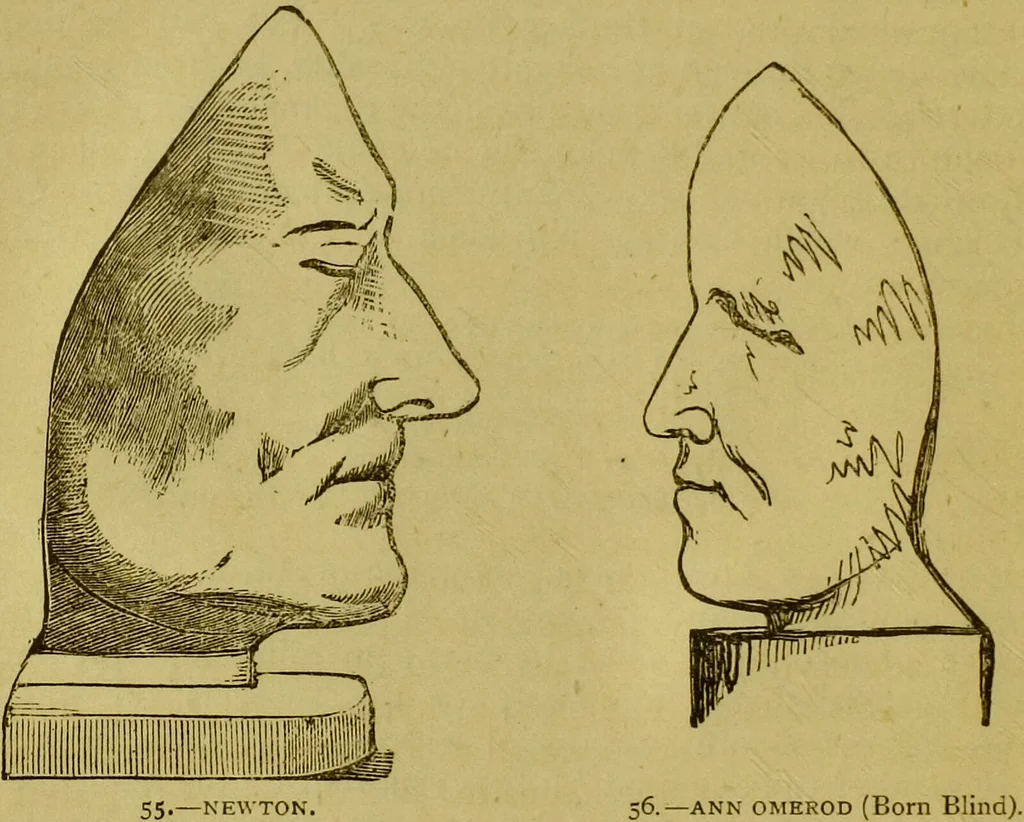 An illustration from Orthodox phrenology / by A.L. Vago., 1871, leaf 86