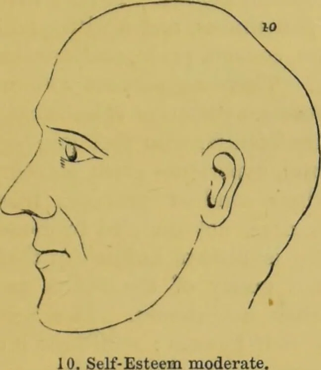 An illustration from Elements of phrenology / by George Combe., 1855, leaf 103