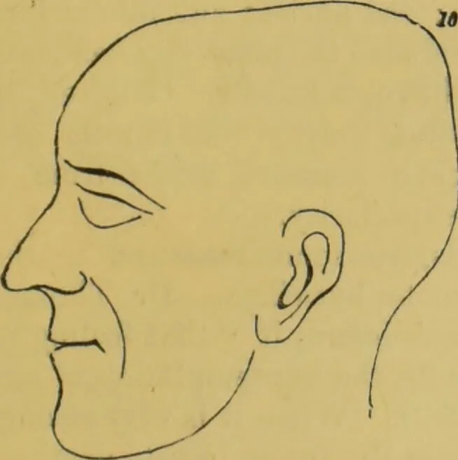 An illustration from Elements of phrenology / by George Combe., 1855, leaf 103