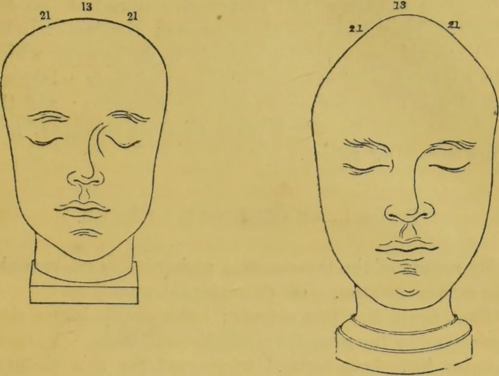 An illustration from Elements of phrenology / by George Combe., 1855, leaf 129