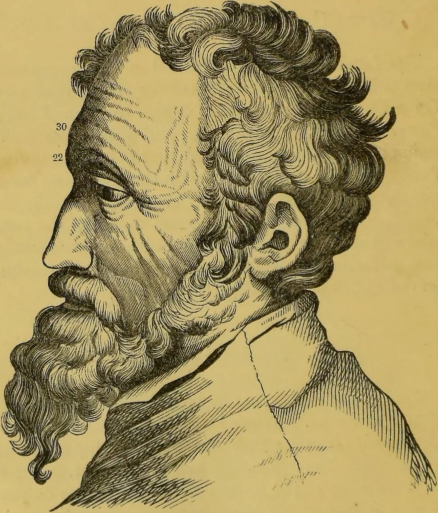 An illustration from Elements of phrenology / by George Combe., 1855, leaf 136