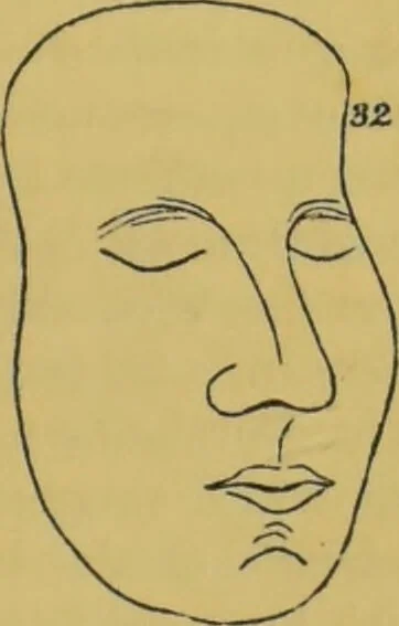 An illustration from Elements of phrenology / by George Combe., 1855, leaf 149