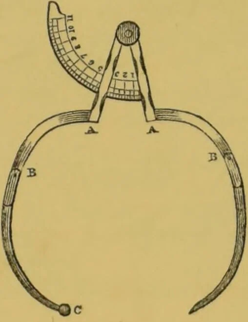An illustration from Elements of phrenology / by George Combe., 1855, leaf 249