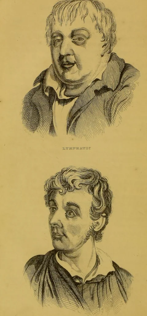 An illustration from Elements of phrenology / by George Combe., 1855, leaf 34