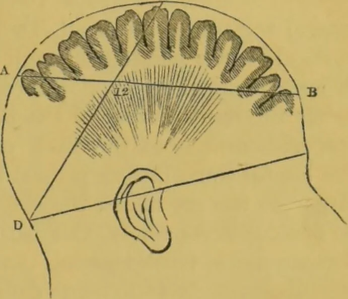 An illustration from Elements of phrenology / by George Combe., 1855, leaf 57