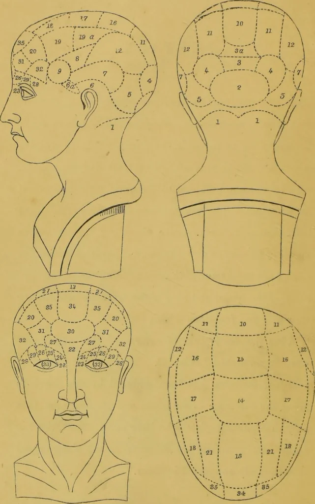 An illustration from Elements of phrenology / by George Combe., 1855, leaf 8