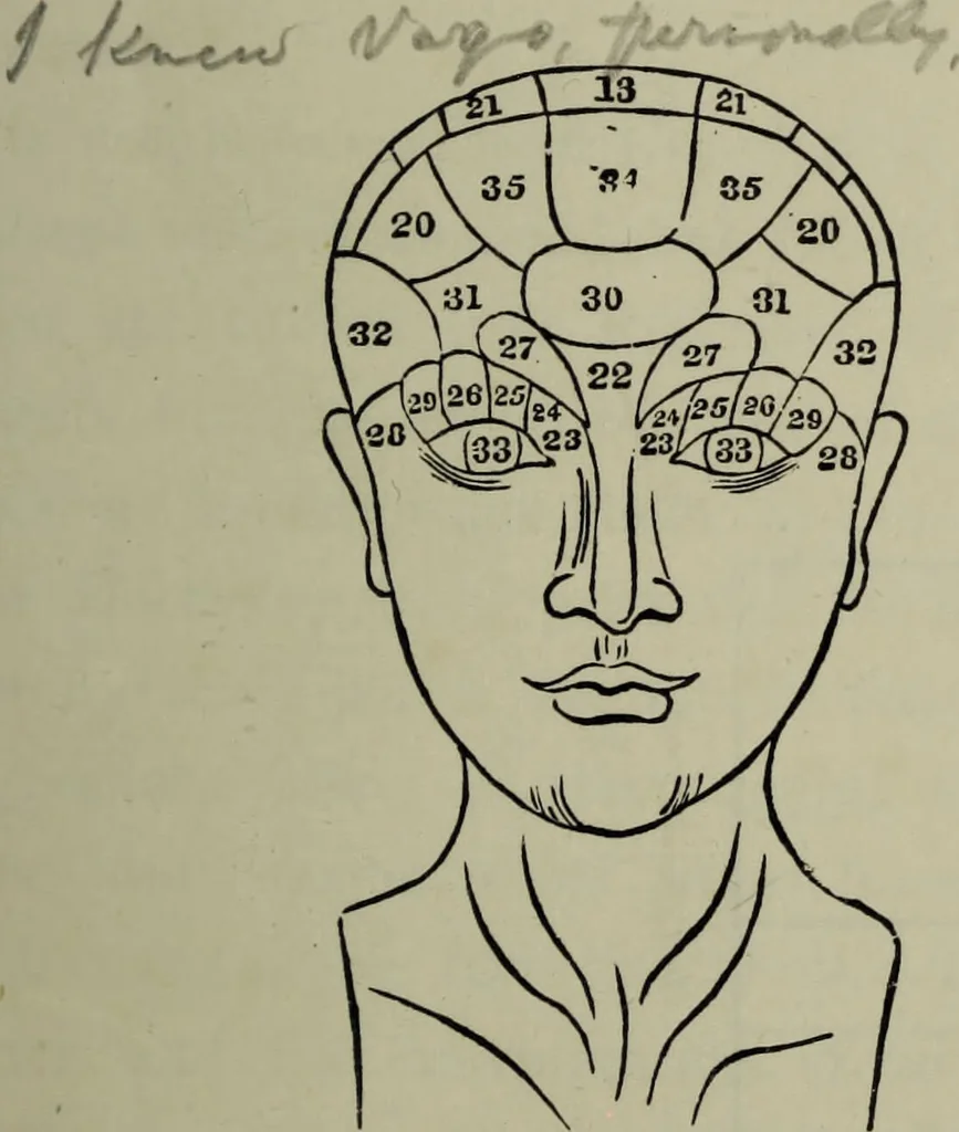 An illustration from Phrenology vindicated : being a reply to the article by Dr Andrew Wilson, entitled "The old phrenology and the new", which appeared in "The gentleman's magazine", January, 1879 / by A.L. Vago., 1879, leaf 3