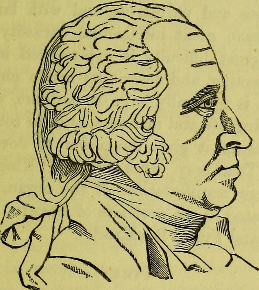 An illustration from A manual of phrenology : designed for the use of teachers, students, and others / by Alfred T. Story., 1880, leaf 127