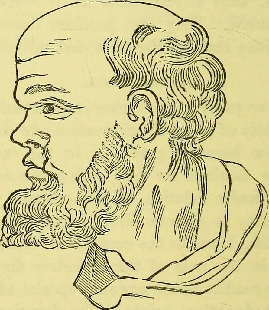 An illustration from A manual of phrenology : designed for the use of teachers, students, and others / by Alfred T. Story., 1880, leaf 136