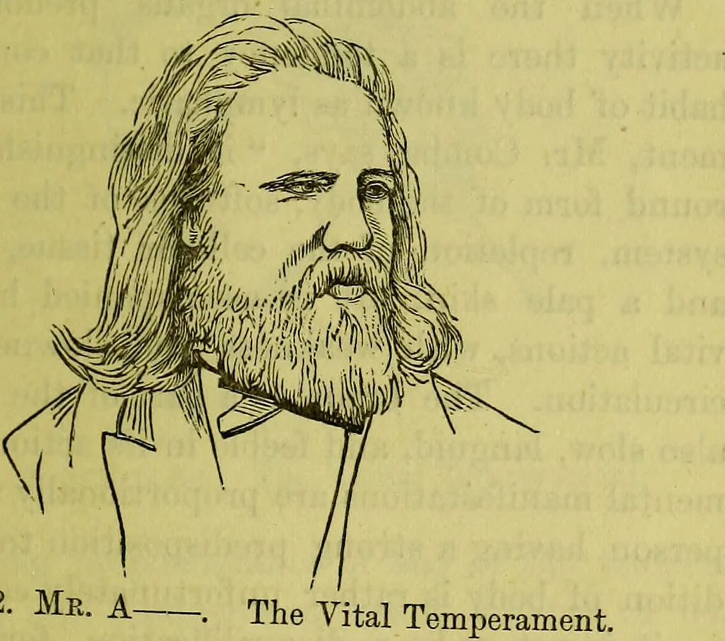 An illustration from A manual of phrenology : designed for the use of teachers, students, and others / by Alfred T. Story., 1880, leaf 31