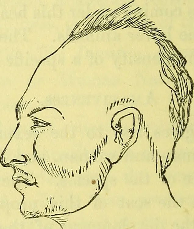 An illustration from A manual of phrenology : designed for the use of teachers, students, and others / by Alfred T. Story., 1880, leaf 52