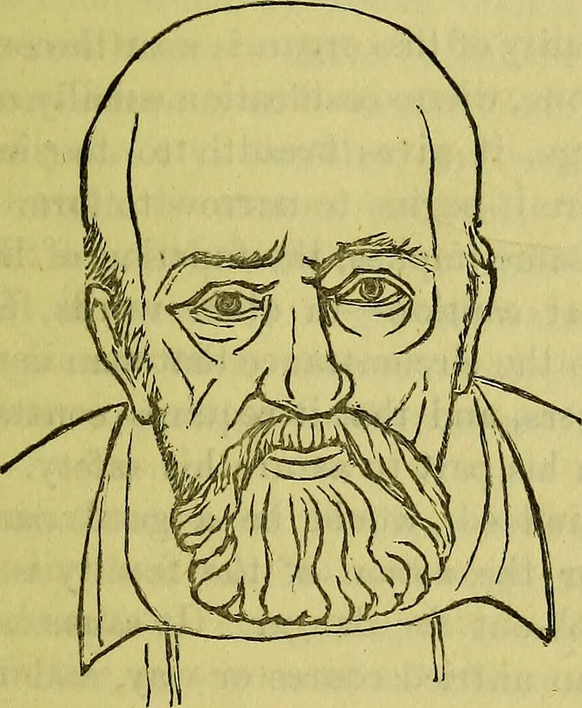 An illustration from A manual of phrenology : designed for the use of teachers, students, and others / by Alfred T. Story., 1880, leaf 75