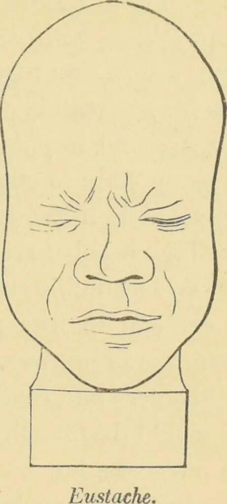 An illustration from Lectures on phrenology / by George Combe ; including its application to the present and prospective condition of the United States, with notes, an introductory essay, and a historical sketch by Andrew Boardman., 1889, leaf 199