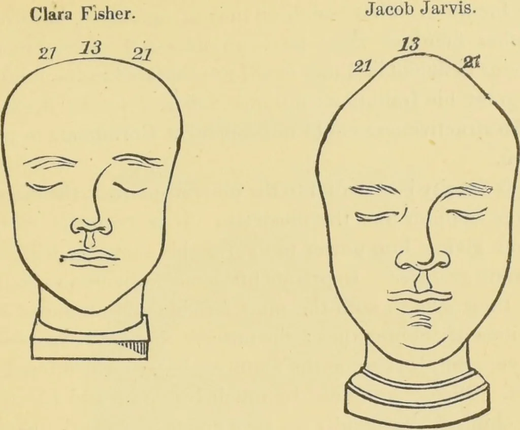 An illustration from Lectures on phrenology / by George Combe ; including its application to the present and prospective condition of the United States, with notes, an introductory essay, and a historical sketch by Andrew Boardman., 1889, leaf 233