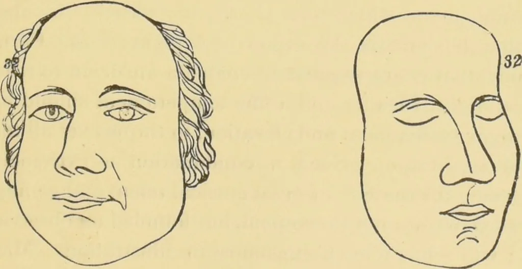An illustration from Lectures on phrenology / by George Combe ; including its application to the present and prospective condition of the United States, with notes, an introductory essay, and a historical sketch by Andrew Boardman., 1889, leaf 263