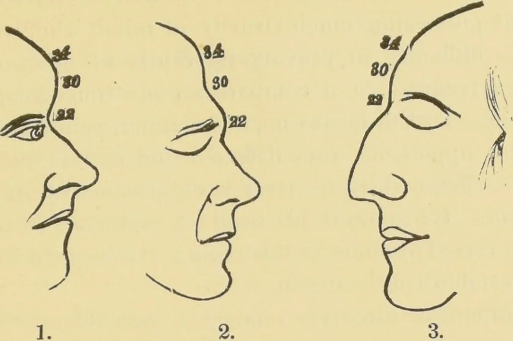 An illustration from Lectures on phrenology / by George Combe ; including its application to the present and prospective condition of the United States, with notes, an introductory essay, and a historical sketch by Andrew Boardman., 1889, leaf 271
