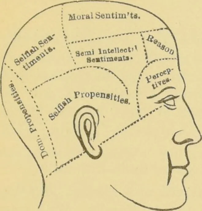 An illustration from Lectures on phrenology / by George Combe ; including its application to the present and prospective condition of the United States, with notes, an introductory essay, and a historical sketch by Andrew Boardman., 1889, leaf 401