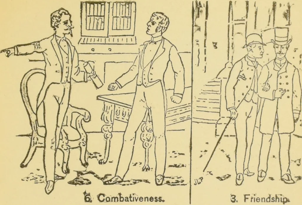 An illustration from Lectures on phrenology / by George Combe ; including its application to the present and prospective condition of the United States, with notes, an introductory essay, and a historical sketch by Andrew Boardman., 1889, leaf 409