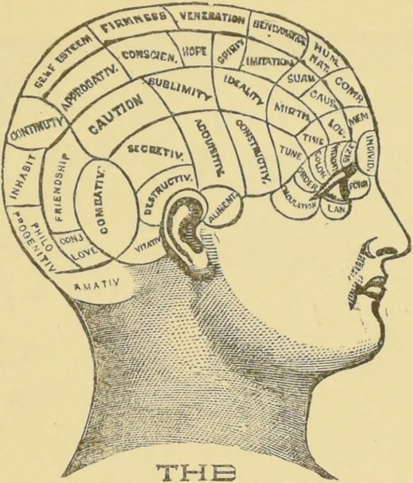 An illustration from Lectures on phrenology / by George Combe ; including its application to the present and prospective condition of the United States, with notes, an introductory essay, and a historical sketch by Andrew Boardman., 1889, leaf 415