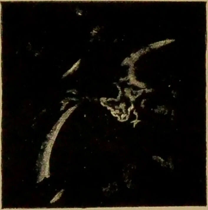 An illustration from Spectrum analysis : six lectures, delivered in 1868, before the Society of Apothecaries of London / by Henry E. Roscoe ; with appendices, coloured plates, and illustrations., 1869, leaf 290