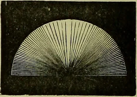 An illustration from The microscope : its history, construction, and application, being a familiar introduction to the use of the instrument, and the study of microscopical science / by Jabez Hogg ; with upwards of five hundred engravings, and coloured illustrations by Tuffen West., 1883, leaf 104