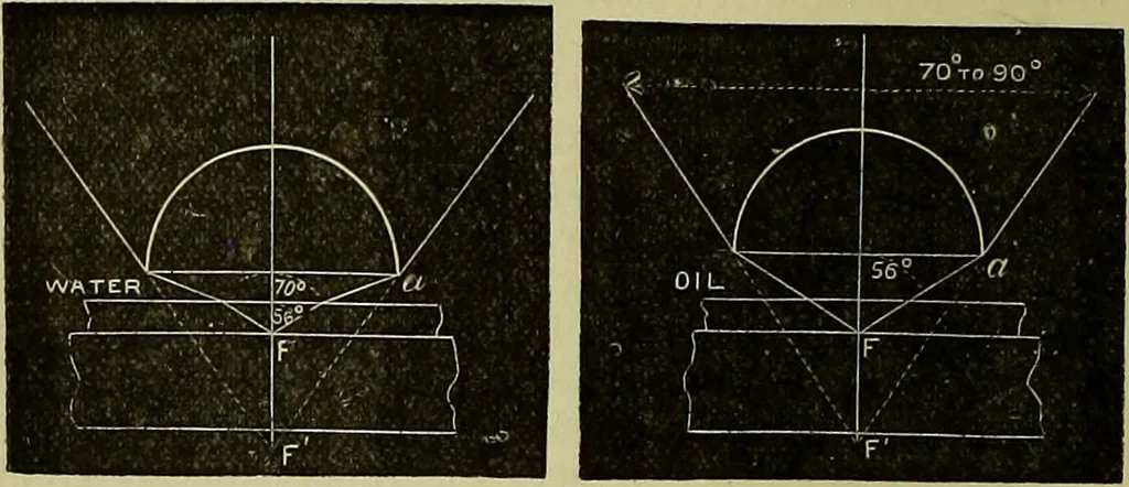 An illustration from The microscope : its history, construction, and application, being a familiar introduction to the use of the instrument, and the study of microscopical science / by Jabez Hogg ; with upwards of five hundred engravings, and coloured illustrations by Tuffen West., 1883, leaf 110