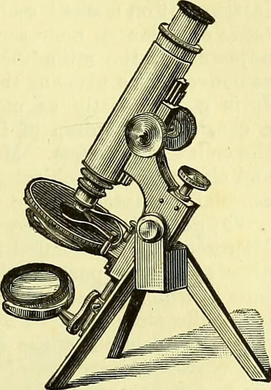 An illustration from The microscope : its history, construction, and application, being a familiar introduction to the use of the instrument, and the study of microscopical science / by Jabez Hogg ; with upwards of five hundred engravings, and coloured illustrations by Tuffen West., 1883, leaf 115