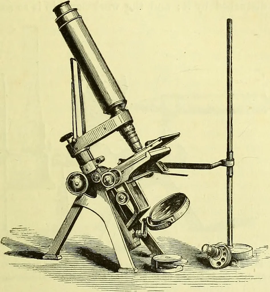 An illustration from The microscope : its history, construction, and application, being a familiar introduction to the use of the instrument, and the study of microscopical science / by Jabez Hogg ; with upwards of five hundred engravings, and coloured illustrations by Tuffen West., 1883, leaf 117