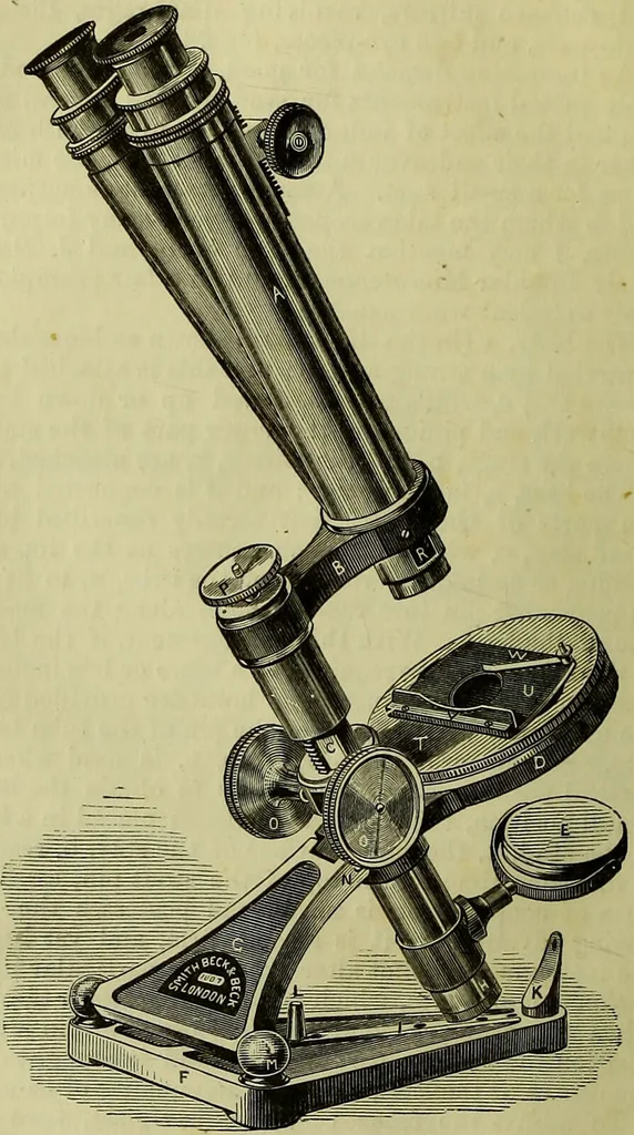 An illustration from The microscope : its history, construction, and application, being a familiar introduction to the use of the instrument, and the study of microscopical science / by Jabez Hogg ; with upwards of five hundred engravings, and coloured illustrations by Tuffen West., 1883, leaf 120