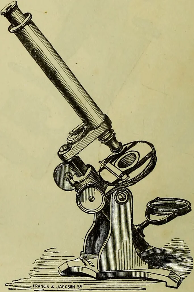 An illustration from The microscope : its history, construction, and application, being a familiar introduction to the use of the instrument, and the study of microscopical science / by Jabez Hogg ; with upwards of five hundred engravings, and coloured illustrations by Tuffen West., 1883, leaf 122