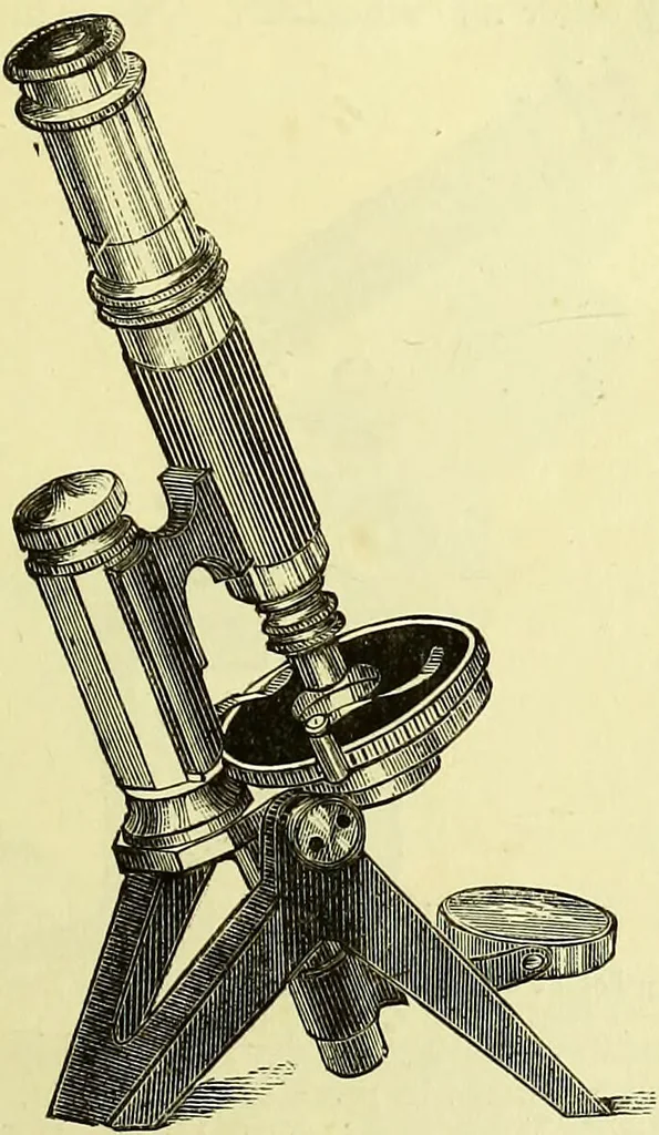 An illustration from The microscope : its history, construction, and application, being a familiar introduction to the use of the instrument, and the study of microscopical science / by Jabez Hogg ; with upwards of five hundred engravings, and coloured illustrations by Tuffen West., 1883, leaf 123