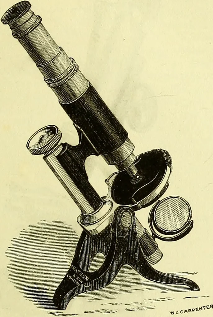 An illustration from The microscope : its history, construction, and application, being a familiar introduction to the use of the instrument, and the study of microscopical science / by Jabez Hogg ; with upwards of five hundred engravings, and coloured illustrations by Tuffen West., 1883, leaf 129