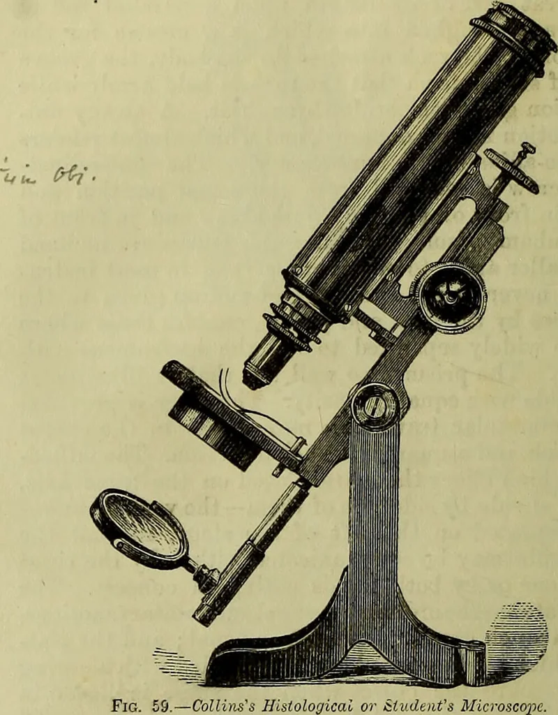 An illustration from The microscope : its history, construction, and application, being a familiar introduction to the use of the instrument, and the study of microscopical science / by Jabez Hogg ; with upwards of five hundred engravings, and coloured illustrations by Tuffen West., 1883, leaf 132