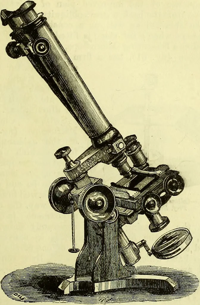 An illustration from The microscope : its history, construction, and application, being a familiar introduction to the use of the instrument, and the study of microscopical science / by Jabez Hogg ; with upwards of five hundred engravings, and coloured illustrations by Tuffen West., 1883, leaf 133