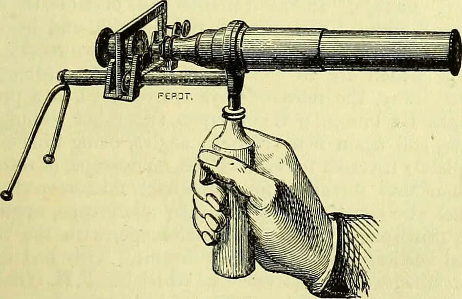 An illustration from The microscope : its history, construction, and application, being a familiar introduction to the use of the instrument, and the study of microscopical science / by Jabez Hogg ; with upwards of five hundred engravings, and coloured illustrations by Tuffen West., 1883, leaf 141