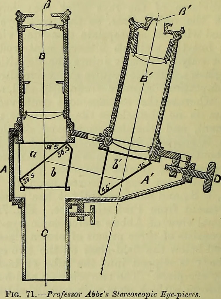 An illustration from The microscope : its history, construction, and application, being a familiar introduction to the use of the instrument, and the study of microscopical science / by Jabez Hogg ; with upwards of five hundred engravings, and coloured illustrations by Tuffen West., 1883, leaf 146